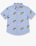 Riviera stripe