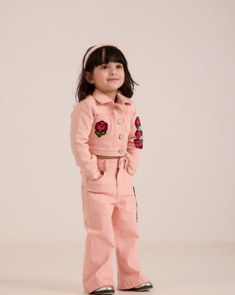 Embroidered Denim Flared Pants