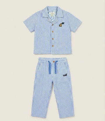 blue stripe