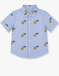 Riviera stripe