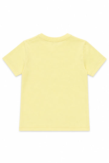 lemon sorbet