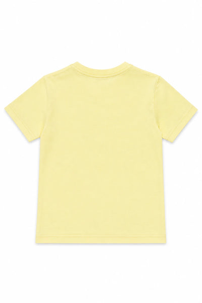 lemon sorbet