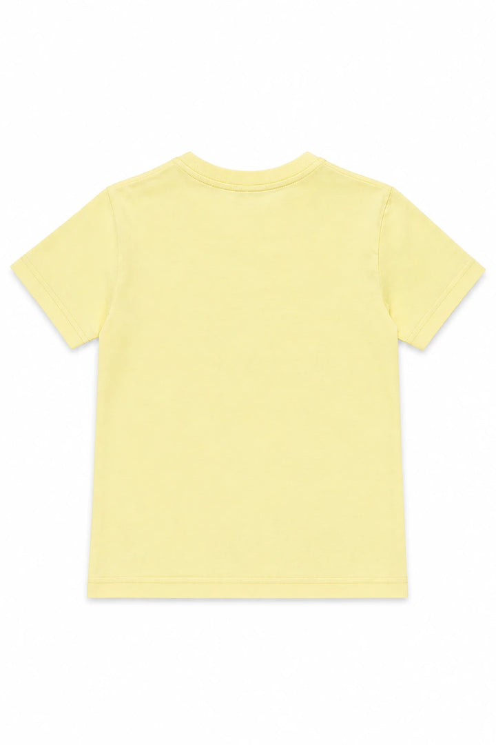 lemon sorbet